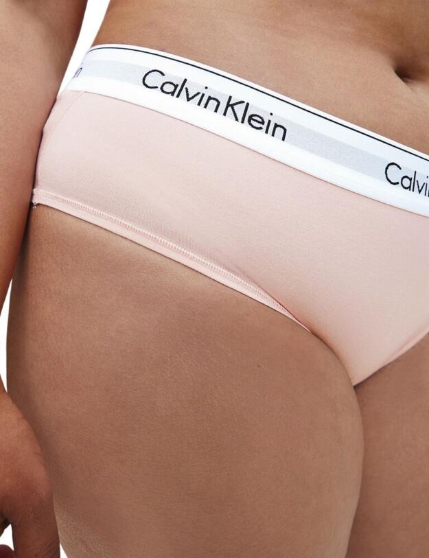 000QF5118E Calvin Klein Modern Cotton Plus Hipster Panty - QF5118E Nymphs Thigh 