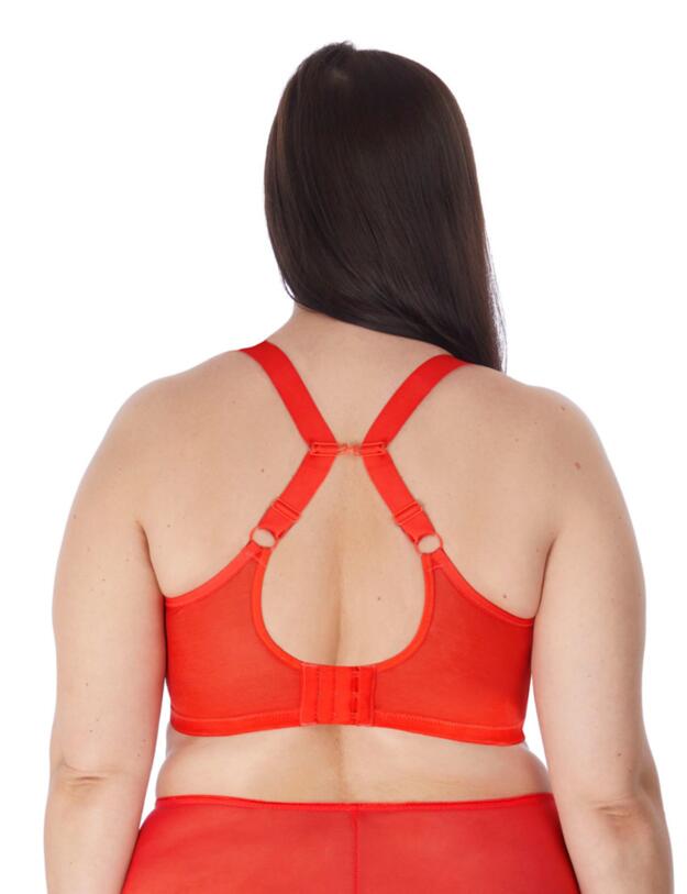 8900 Elomi Matilda Underwired Plunge Bra - 8900 Chilli