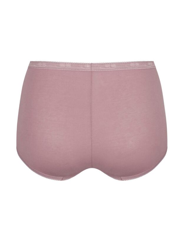 10103326 Sloggi Basic+ Maxi Brief 4 Pack - 10103326 Lilac/Dark Combination