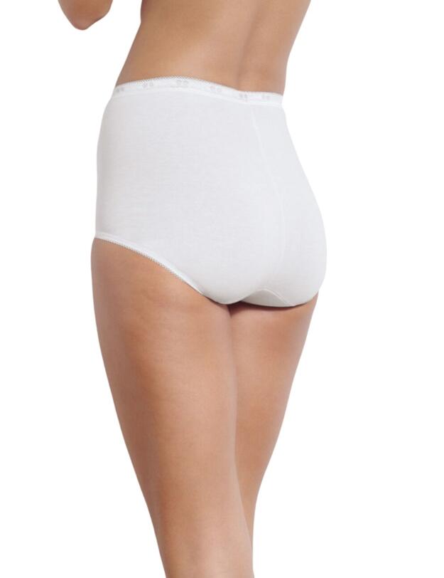 10105593 Sloggi Basic+ Maxi Brief 3 Pack - 10105593 White/Dark Combination