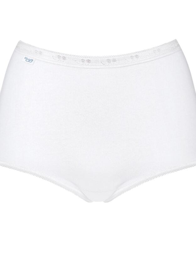 10105593 Sloggi Basic+ Maxi Brief 3 Pack - 10105593 White/Dark Combination