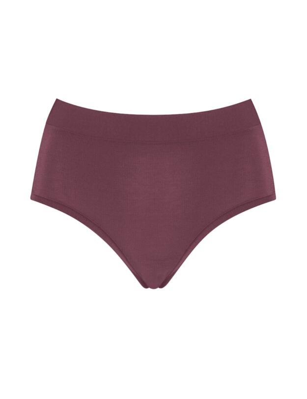 10201627 Sloggi Go Allround Maxi Brief - 10201627 Kaluha 