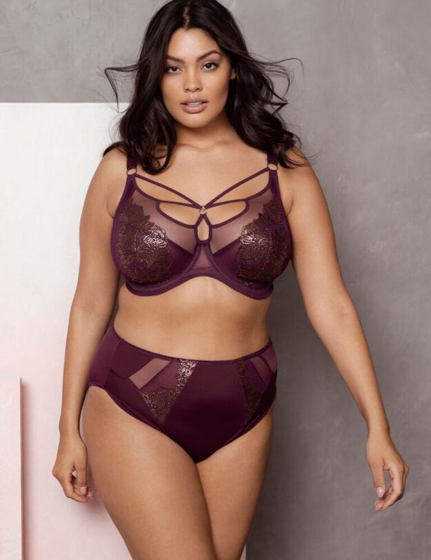 Elomi Eugenie High Leg Brief in Gilded Berry 