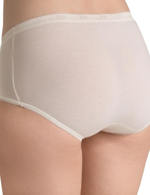 Sloggi Basic+ Midi Brief in Chrysantheme