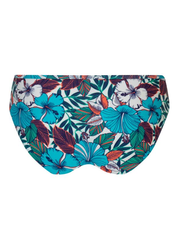 Curvy Kate Hibiscus Classic Bikini Brief in Print Mix