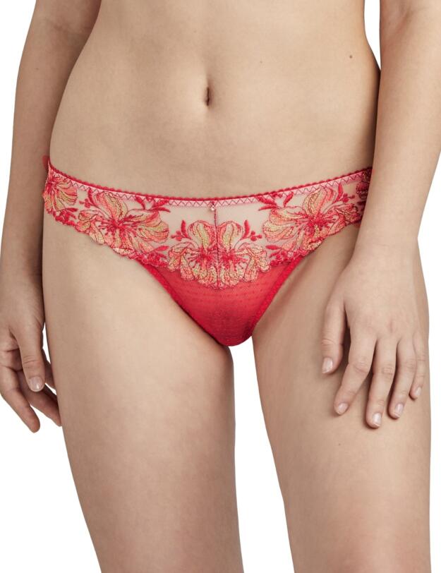 Aubade Poetique Esquisse Brazilian Brief in Pigment