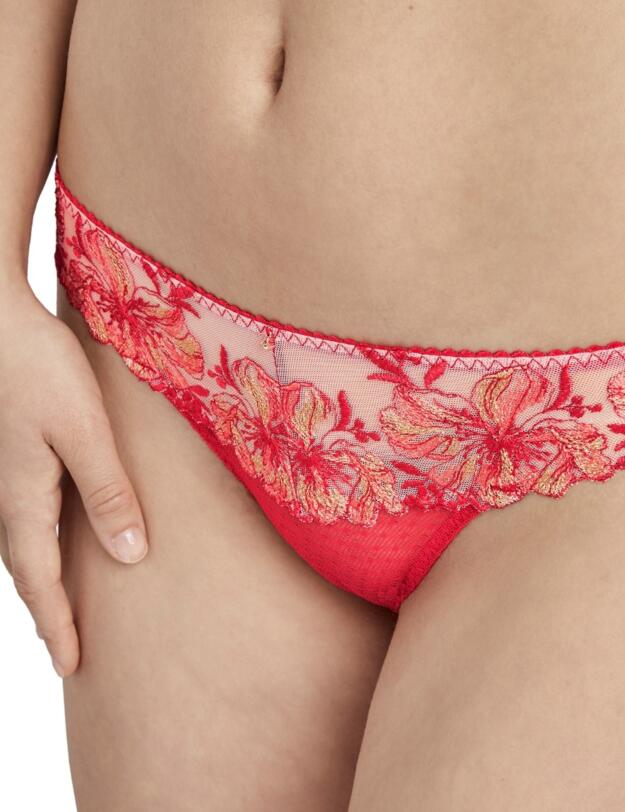 Aubade Poetique Esquisse Brazilian Brief in Pigment