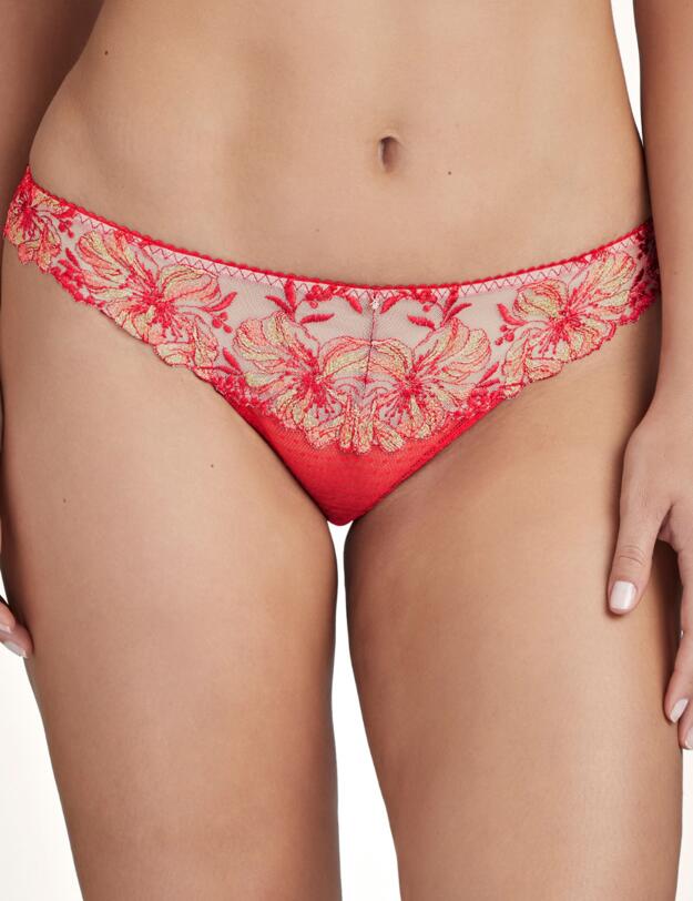Aubade Poetique Esquisse Tanga Brief in Pigment