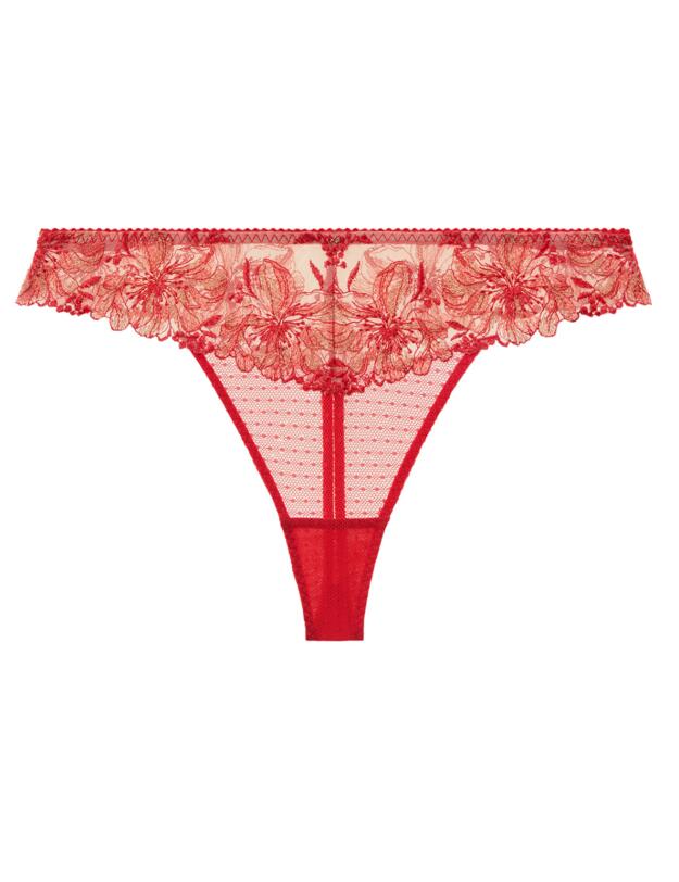 Aubade Poetique Esquisse Tanga Brief in Pigment