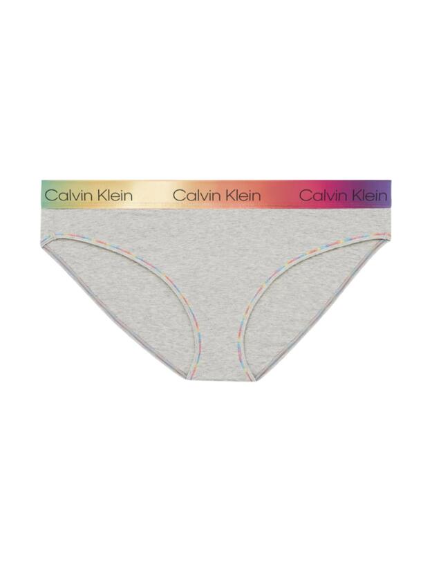 Calvin Klein Pride Plus Size Hipster Grey Heather