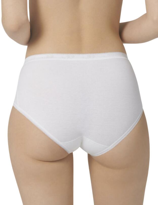 Sloggi Basic+ 4 Pack Midi Briefs Violet/Dark Combination