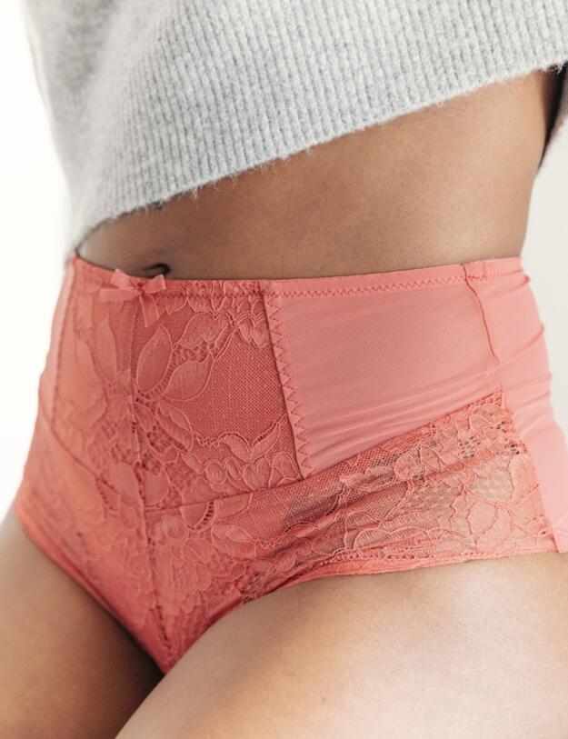 Panache Imogen High Waist Brief Garnet Rose