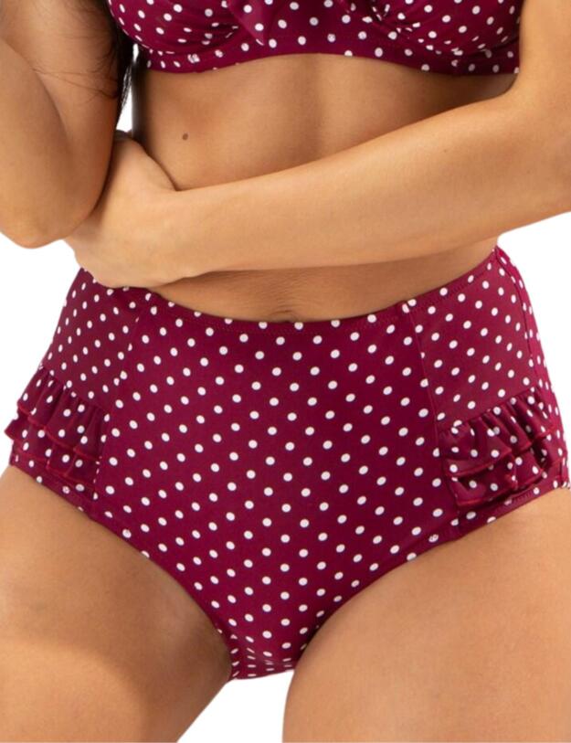 Pour Moi Hot Spots Control Bikini Brief in Sangria