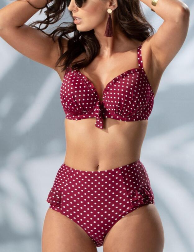 Pour Moi Hot Spots Control Bikini Brief in Sangria