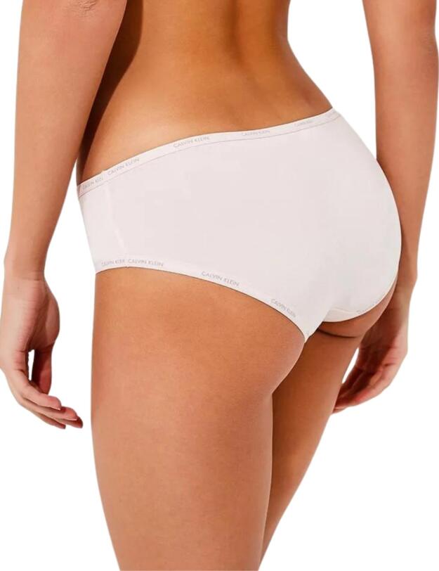 Calvin Klein Youthful Lingerie Hipster Brief in Nymphs Thigh