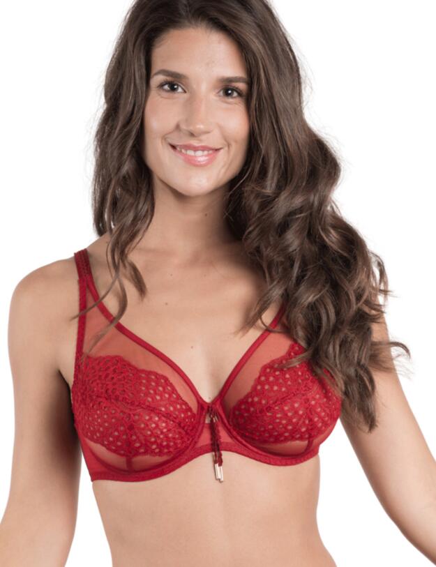 Maison Lejaby Wings Underwired Bra in Vintage Lipstick