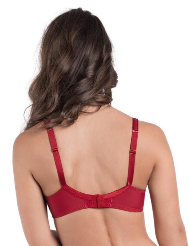 Maison Lejaby Wings Underwired Bra in Vintage Lipstick