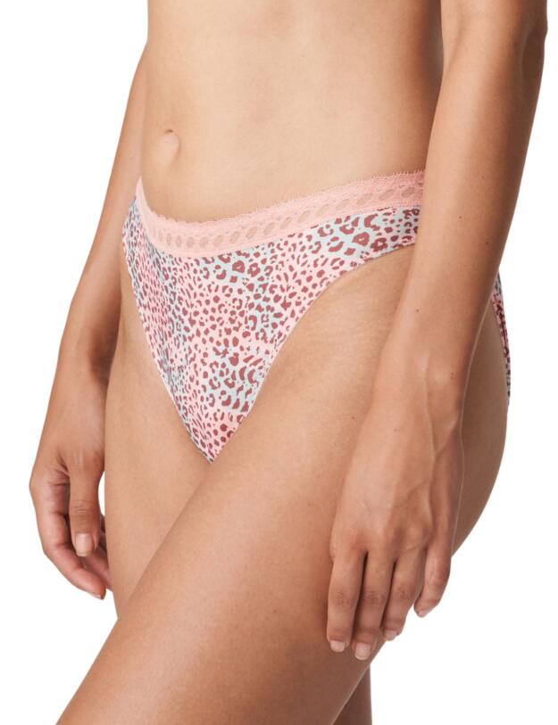 Prima Donna Twist Livadi Rio Briefs Summer Rose 