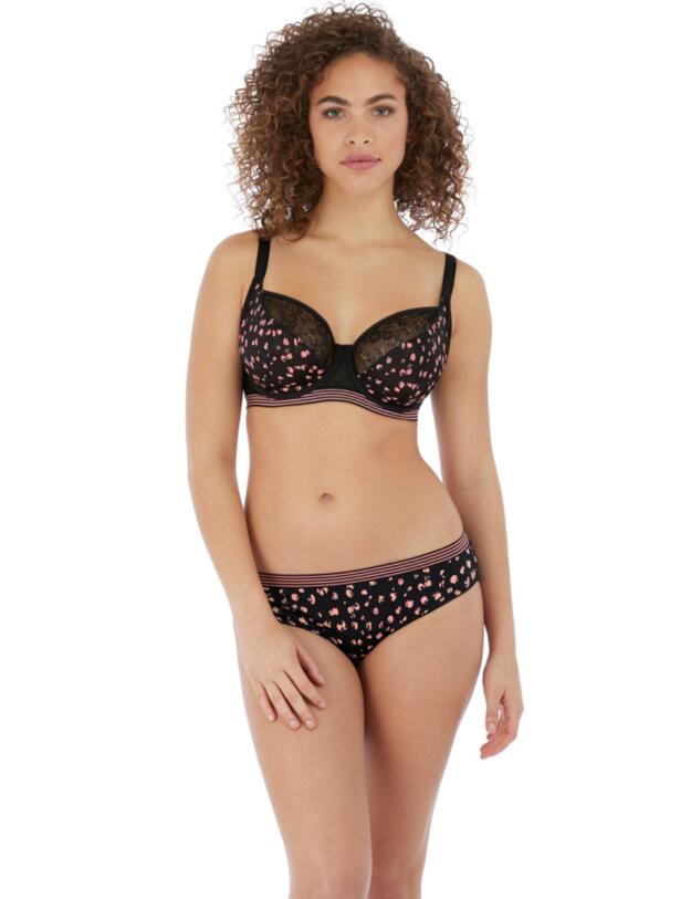 Freya Wild Classic Brief Black Rose