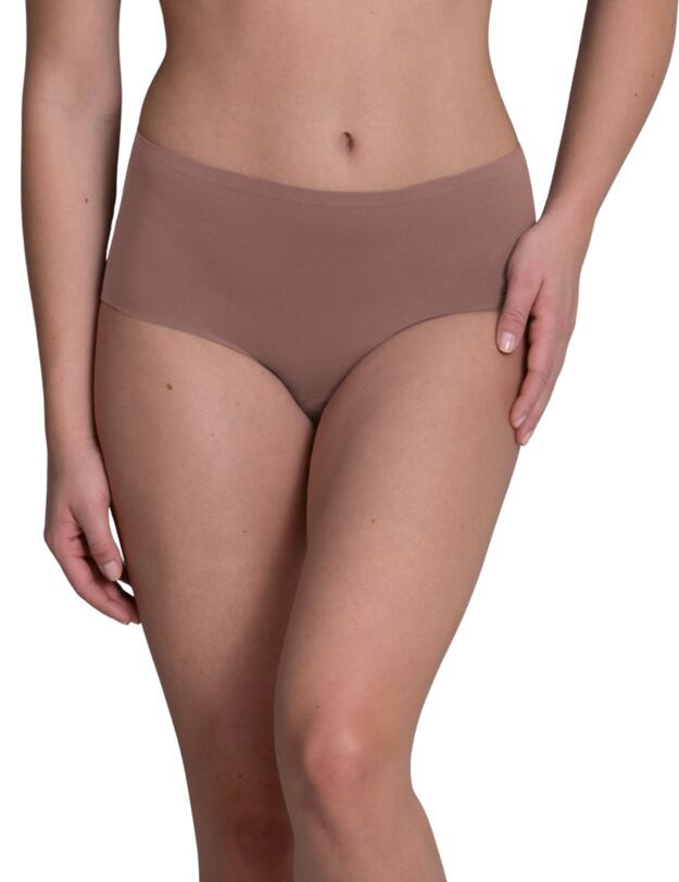  Anita Essentials High Waist Brief Berry 