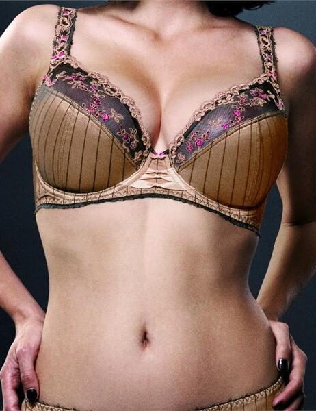         0061 Fauve Nicole Plunge Bra SALE £19.99 - 0061 Noir