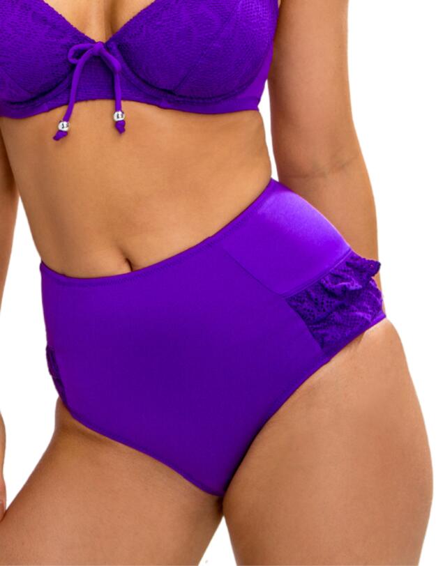 Pour Moi? Puerto Rico Control Bikini Brief Amethyst