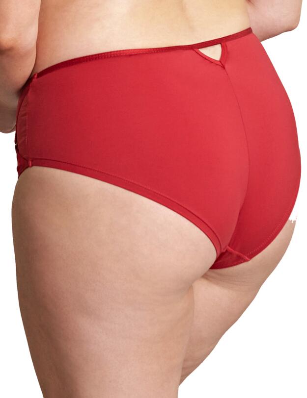  Sculptresse by Panache Dionne Midi Brief fiery Red