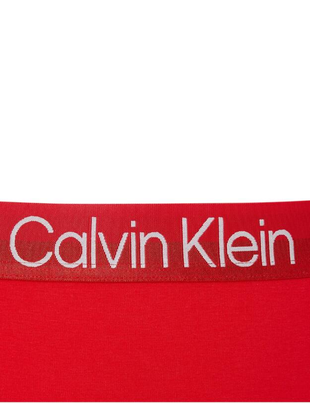  Calvin Klein Structure Cotton Bikini Plus Size Brief Rustic Red