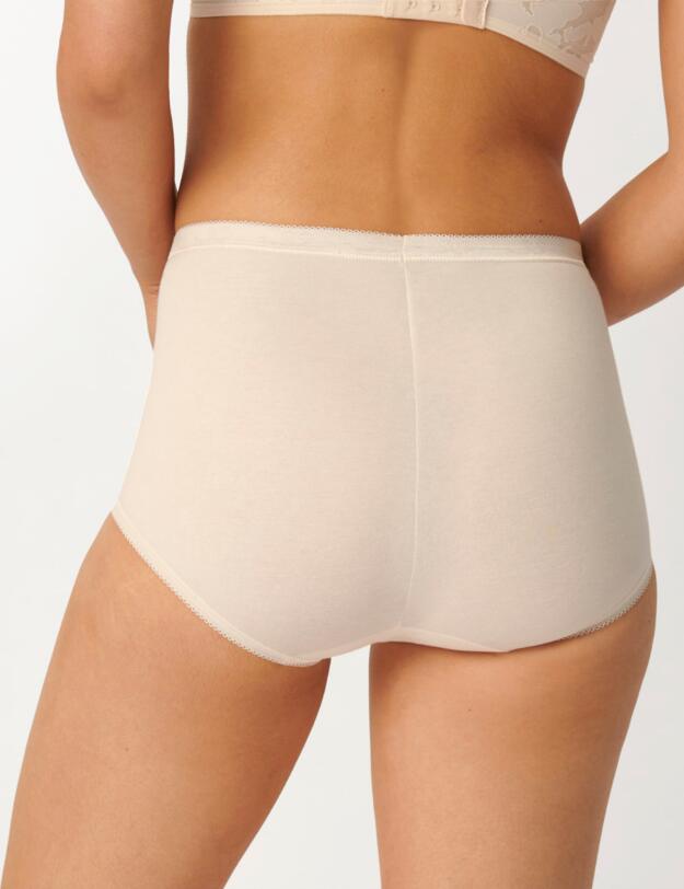 Sloggi Basic+ Maxi Briefs (3PK) Brown/Light Combination