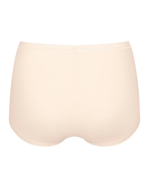 Sloggi Basic+ Maxi Briefs (3PK) Brown/Light Combination