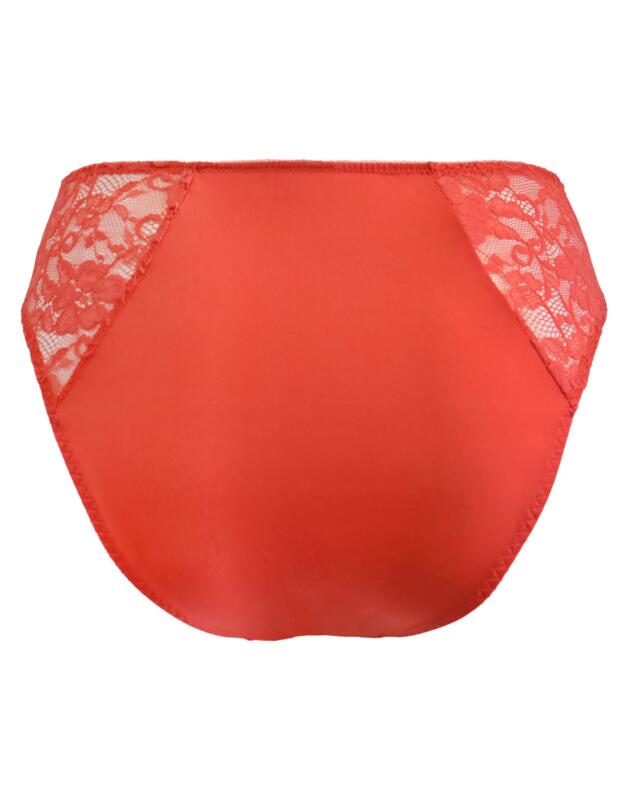 Pour Moi Rebel High Leg Brief Coral