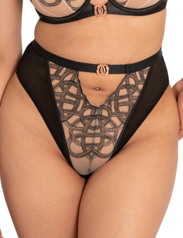 Scantilly by Curvy Kate Lovers Knot Thong Black/Latte