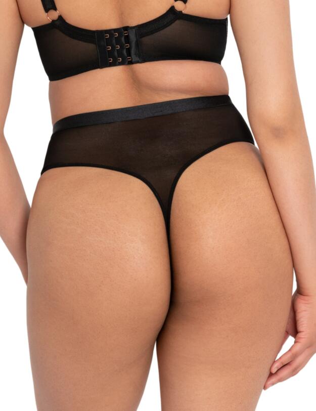 Scantilly by Curvy Kate Lovers Knot Thong Black/Latte
