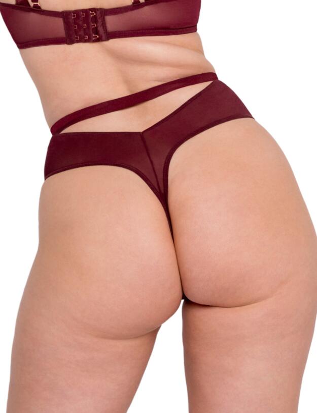 Scantilly by Curvy Kate Buckle Up High Waist Thong Oxblood