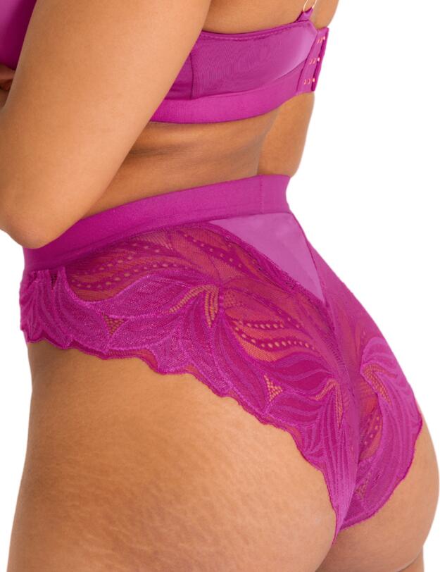 Scantilly by Curvy Kate Indulgence High Waist Brief Orchid/Latte