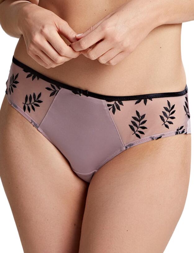 Panache Tango Brief Equinox