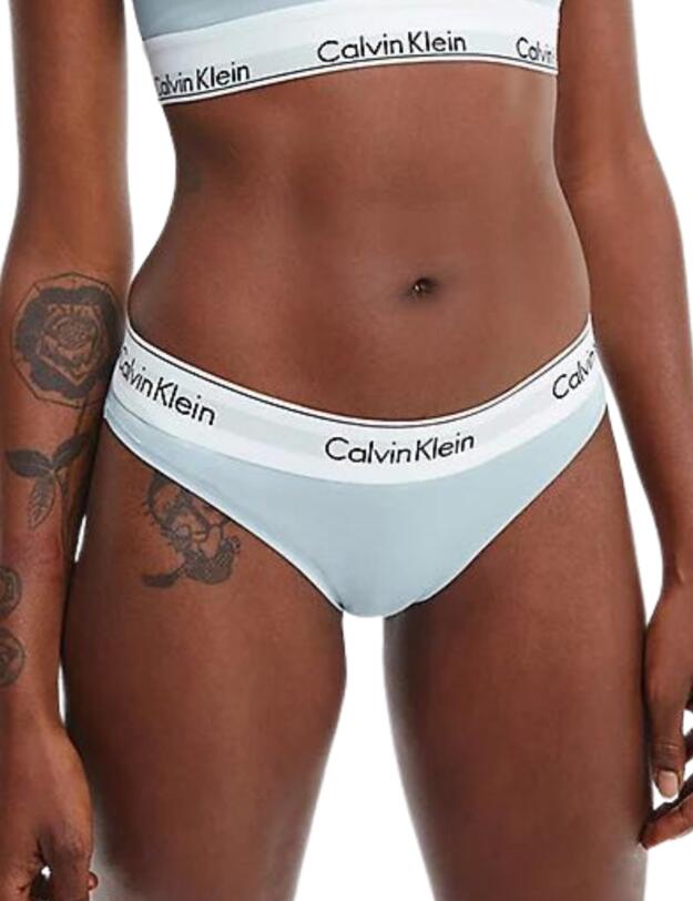 Calvin Klein Modern Cotton Bikini Brief Rain Dance