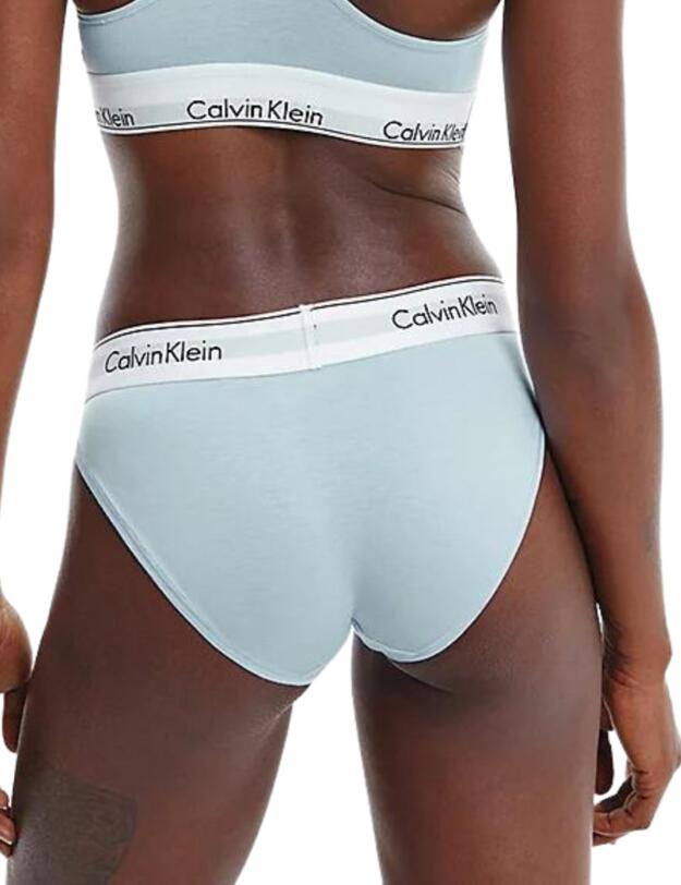 Calvin Klein Modern Cotton Bikini Brief Rain Dance