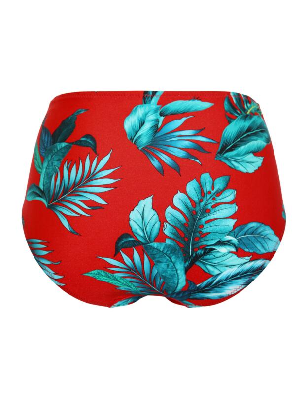 Pour Moi Paradiso Control Bikini Brief Red 