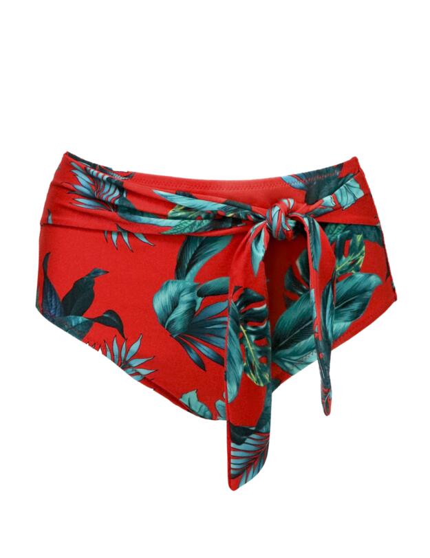 Pour Moi Paradiso Control Bikini Brief Red 