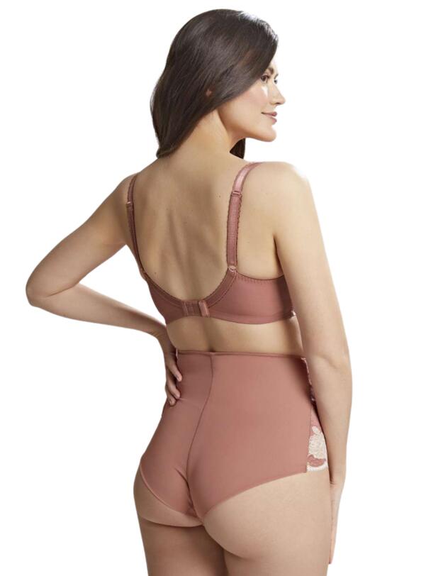 Panache Clara High Waist Brief Sienna 