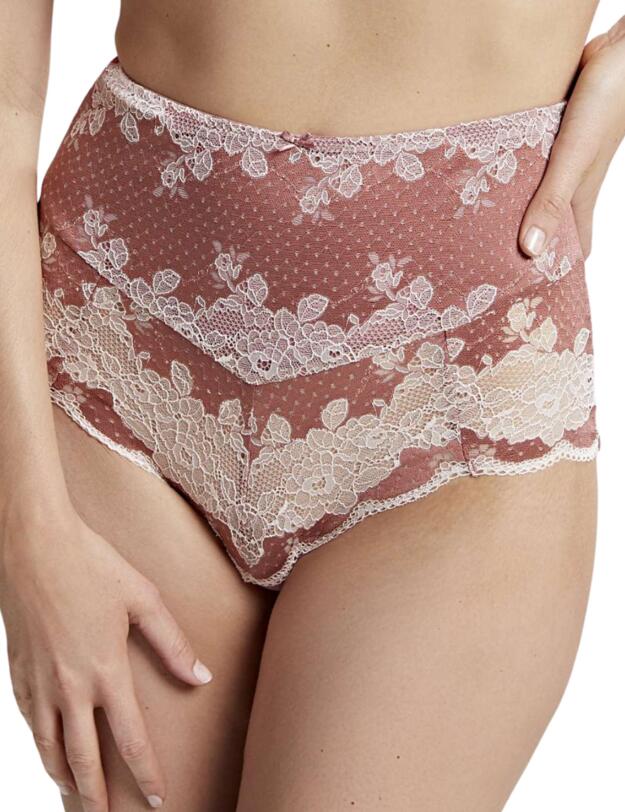 Panache Clara High Waist Brief Sienna 