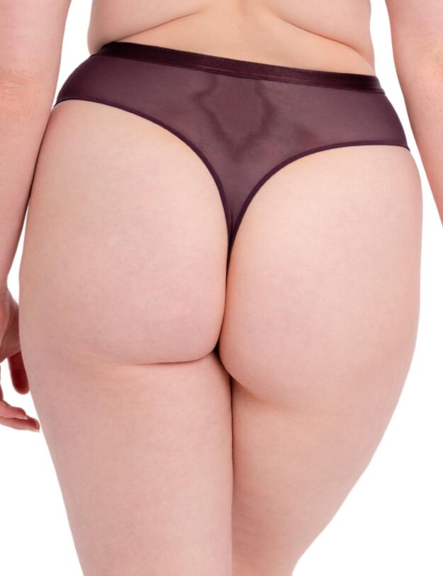 Scantilly by Curvy Kate Lovers Knot Thong Fig/Latte