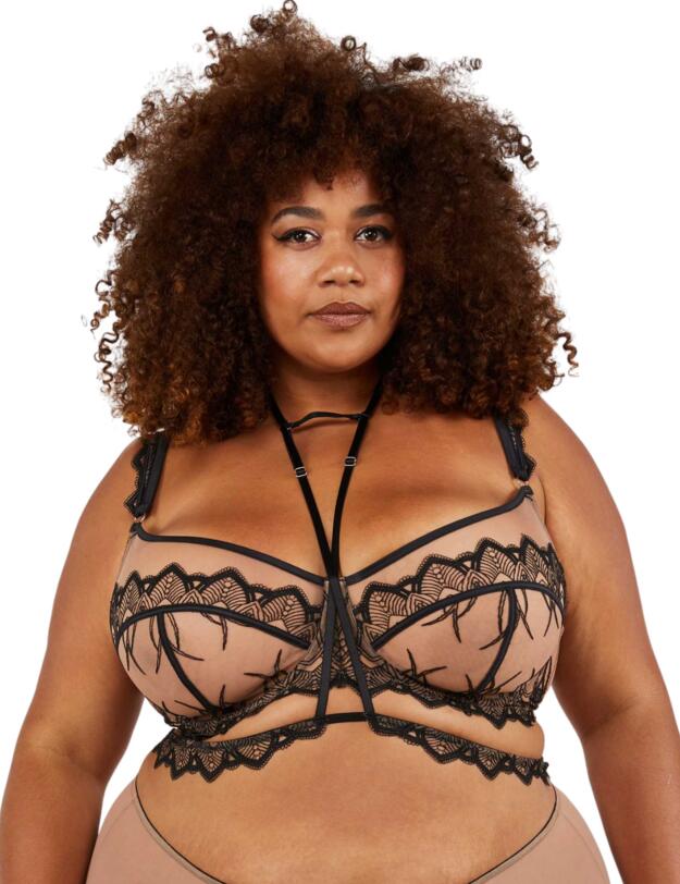 Playful Promises Clara Bra and Harness Set Latte/Black