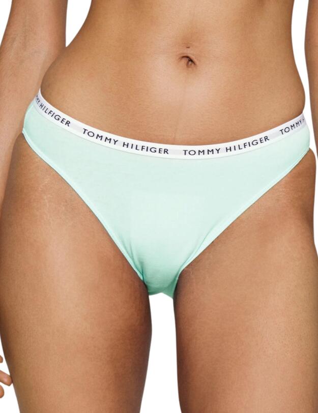 Tommy Hilfiger Recycled Essentials Bikini Brief Cranberry / Aqua / Saltwater Green