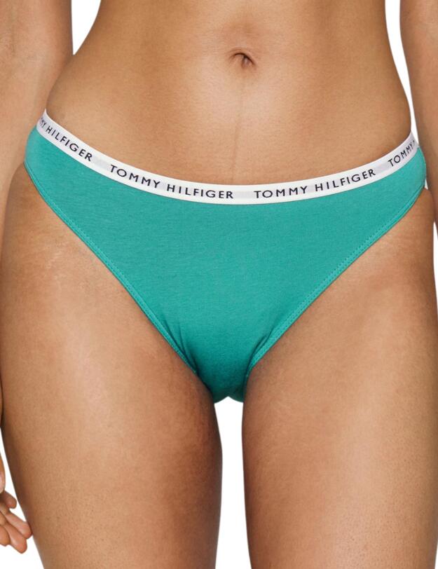 Tommy Hilfiger Recycled Essentials Bikini Brief Cranberry / Aqua / Saltwater Green