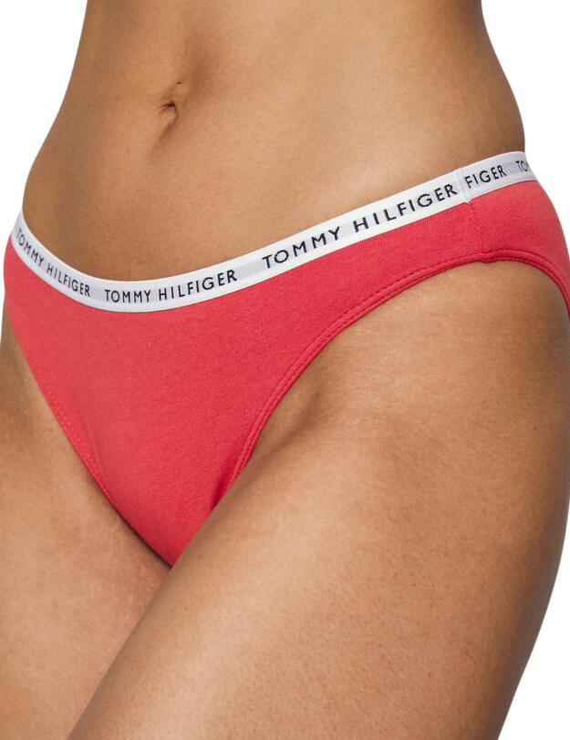 Tommy Hilfiger Recycled Essentials Bikini Brief Cranberry / Aqua / Saltwater Green