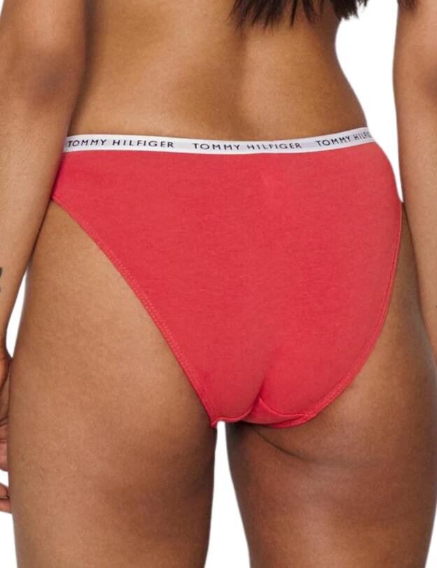 Tommy Hilfiger Recycled Essentials Bikini Brief Cranberry / Aqua / Saltwater Green