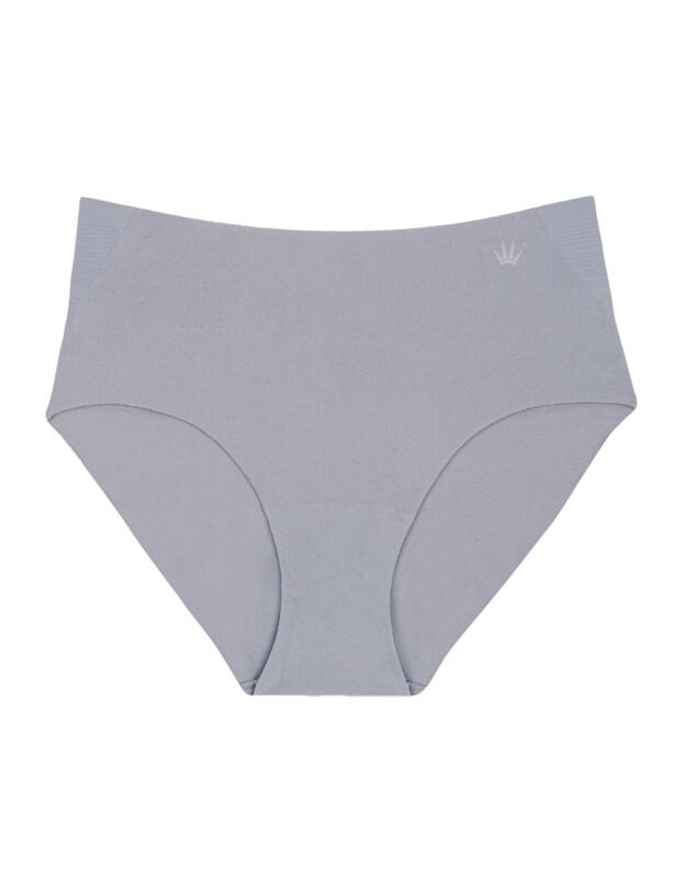 Triumph Flex Smart Maxi Brief Morandi grey 