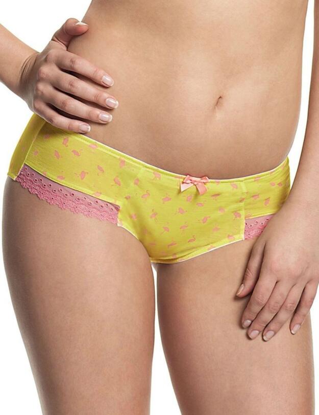 6822 Cleo Darcy Brief Bird Print - 6822 Brief